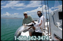 Tarpon Fishing Florida Keys